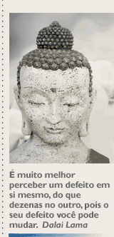 'É muito melhor perceber um defeito em si mesmo, do que dezenas no outro, pois o seu defeito você pode mudar'. Dalai Lama.