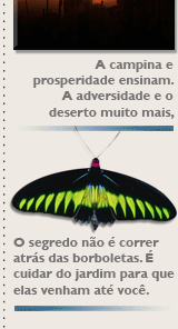O segredo não é correr atrás das borboletas. É cuidar do jardim para que elas venham até você.
