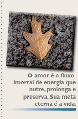 O amor é o fluxo imortal de energia que nutre, prolonga e preserva. Sua meta eterna é a vida.